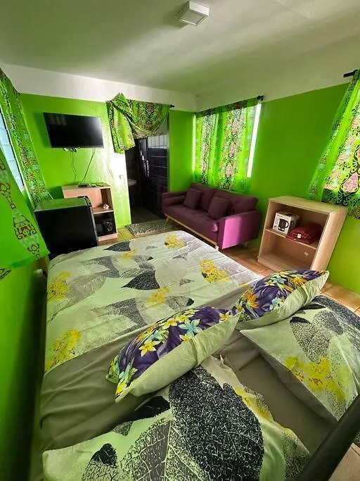 파레 Tiny House Et Un Velo A Assistance Electrique 빌라